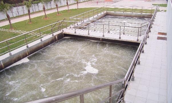 ���̰���