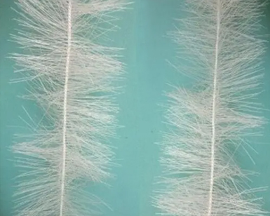 ���嵯������